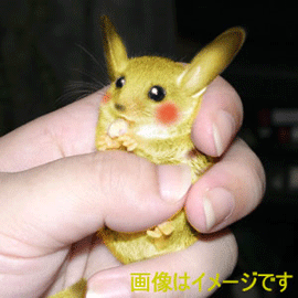 Really Fake Pikachu For Really Big Bucks