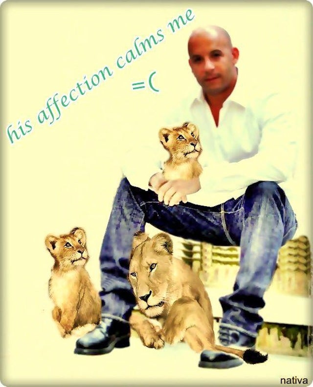 Vin Book: The Best of Vin Diesel's Amazing Facebook Fan Art