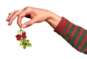 Things I Hate About Christmas