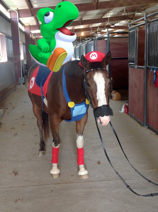 Kotaku 'Shop Contest: Mario Horse: The Winners