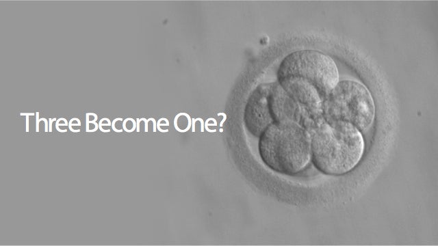 The FDA Is Considering Creating Three-Person Embryos