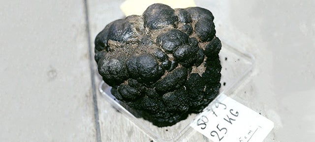 Deepsea Minerals Are Coming Soon To A Cell Phone Near You