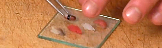 Sushi chef makes miniature sushi with a single grain of rice