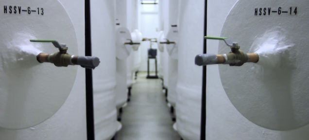 Meet the guys who store humans at freezing temperatures for the future