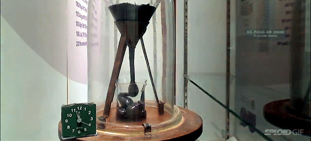 84 year science experiment finally sees results after years of nothing