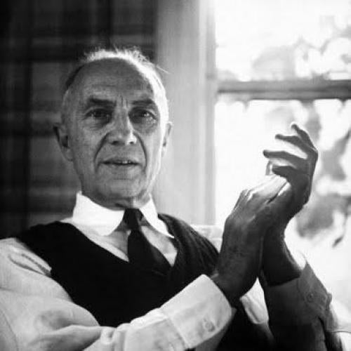 William Carlos Williams career William Carlos Williams career