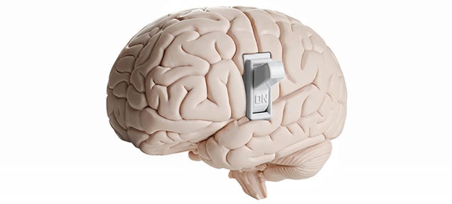 Scientists Have Located the Brain's On/Off Switch for Consciousness