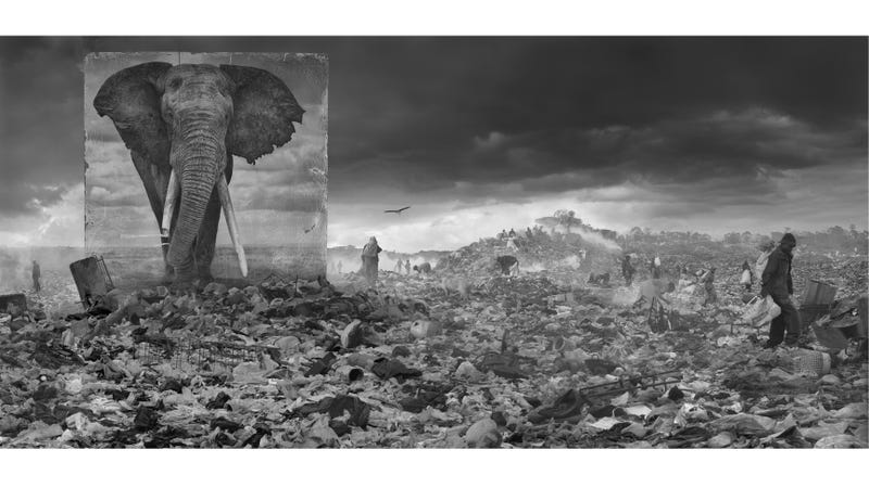 Harrowing Photographs Depict East Africa's Dystopian Future