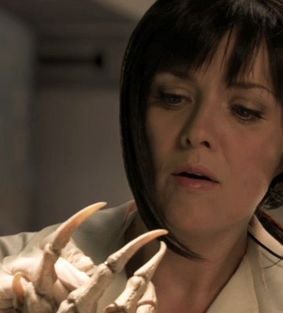 Samantha Carter Will Live Forever In Amanda Tapping Fan-Fiction