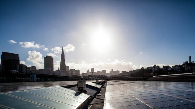 Exploratorium Reborn: Inside San Francisco's New Innovation Shrine