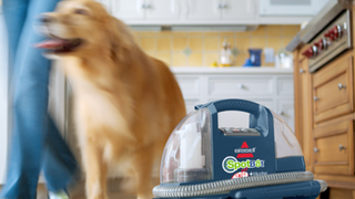 Hotdoll: The Sex Doll for Dogs