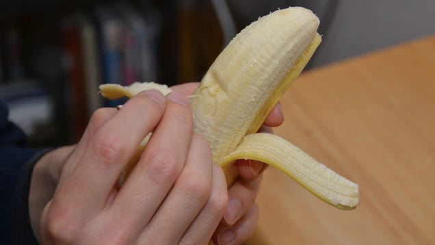How a Banana Becomes Art