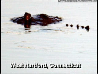 New Monster Terrorizes Hartford