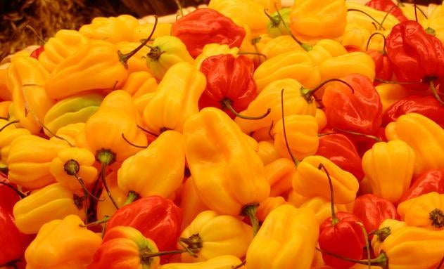 why-do-we-describe-spicy-food-as-being-hot