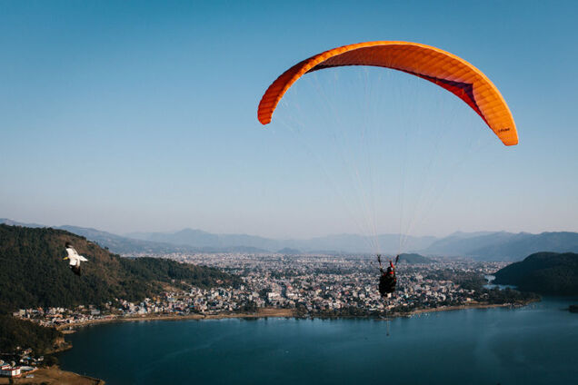 Parahawking: An Actual Sport That Mixes Paragliding And GIANT BIRDS