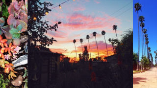 Has Instagram Ever Nudged You to Make a Major Life Change?