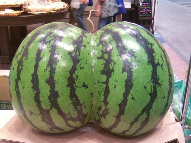 Check Out The Sexy Butt On These Watermelons