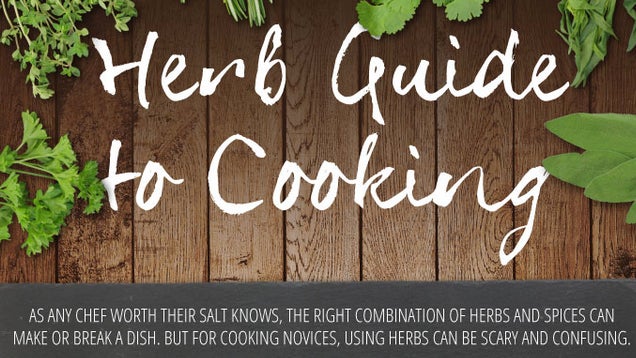 This Infographic Tells you How to Best Use Herbs in Your Cooking