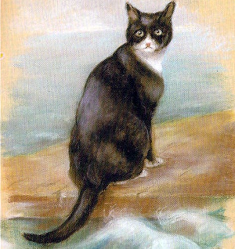 La leyenda de Oscar, el gato que sobrevivió a tres naufragios y una guerra mundial