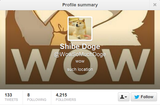 Top 10 Twitter Doges Much Followed