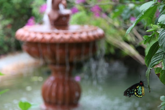 Shooting Challenge: Spring Gallery 2