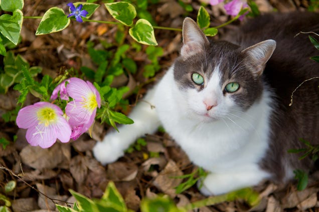 Shooting Challenge: Spring Gallery 1
