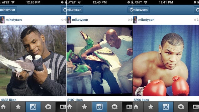 9 Ridiculous People You Should Be Following on Instagram