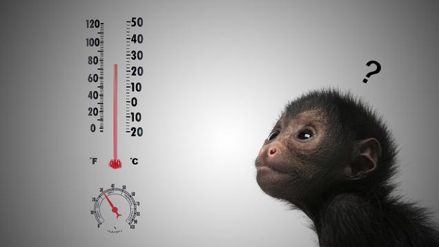 What's the Best Temperature for My Water Heater?