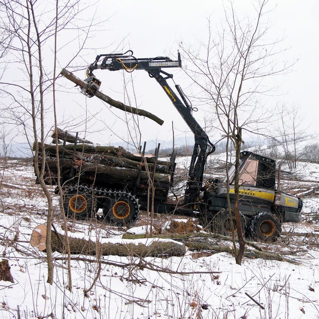 Logging In As A Monster A First-Hand Look At Europe's Monster Logging Machines