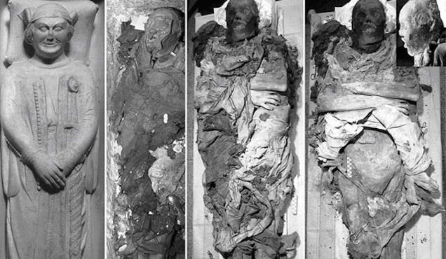 700-Year-Old Cold Case Clue Found in Mummy Poop