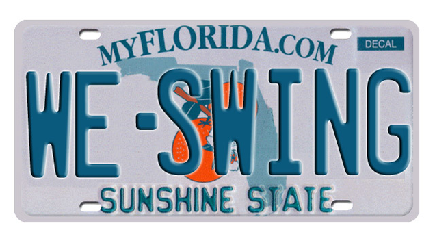 florida dmv license plate search