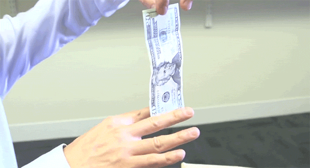 The Mathematical Explanation for Why You Can't Catch a Falling Dollar Bill with Your Fingers