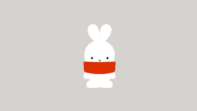 Is This Korean Rabbit a Rip-Off? Guess Not!