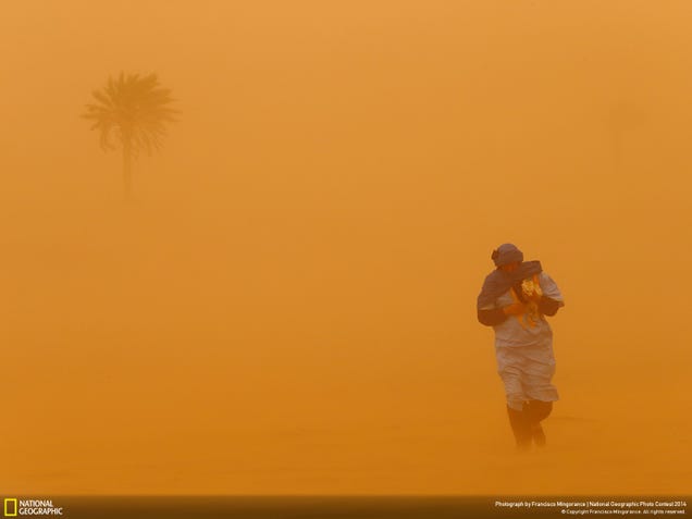 The best pictures from National Geographic's Photo Contest 2014