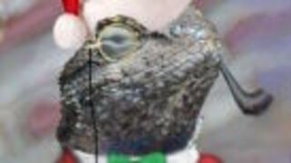 Hackers Explain Why They Supposedly Took Down PSN and Xbox Live