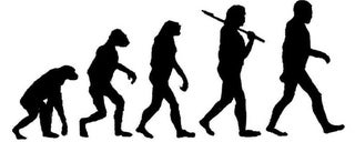 Princeton Scientists Discover Proteins that Control Evolution