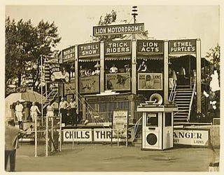 In the 1930s, daredevils would drive up walls with lions for passengers
