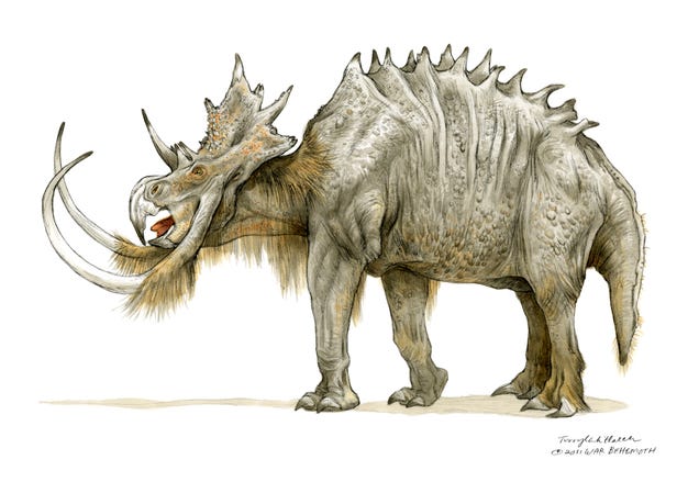 The Fearsome Monsters that Fight for the Sith Lords!