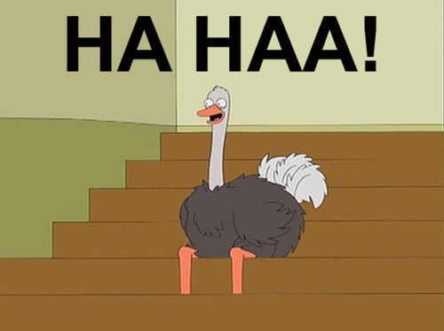 Image result for haha ostrich
