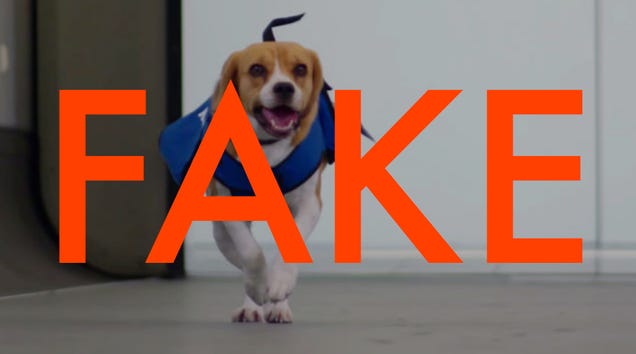 KLM's Sherlock dog is an adorable lie
