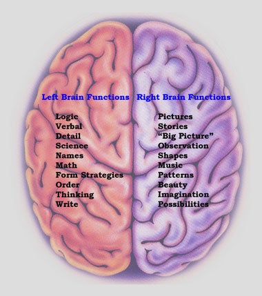 Nine Stubborn Brain Myths That Just Won't Die, Debunked by Science