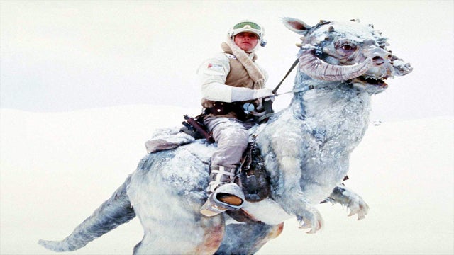 luke skywalker snow
