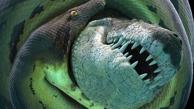 see-titanoboa-the-world-s-largest-snake-on-display-here