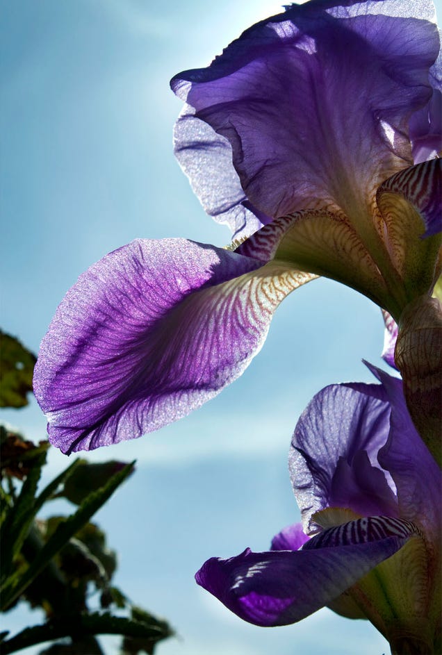 Shooting Challenge: Spring Gallery 2