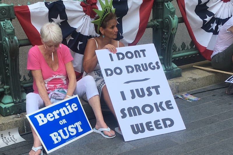 Our Bernie Bros, Ourselves