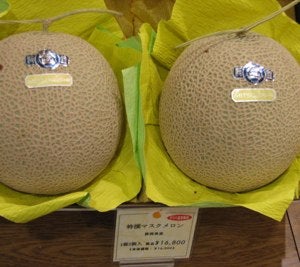 Melon Evolution Reveals the Future of Human Sex