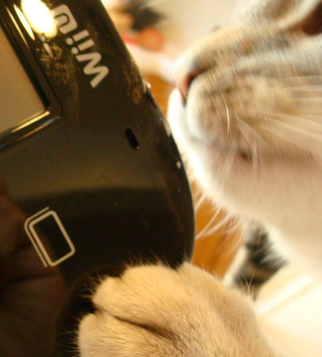 Step Aside, Jessica Chobot Licking A PSP. There's A New Scandalous Picture, And It Involves The Wii U.