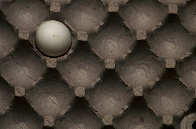 33 Photos Taken In One Amazing Color