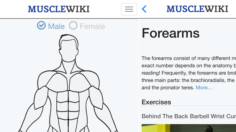 The MuscleWiki App Puts a User-Friendly Exercise Database on Your Phone