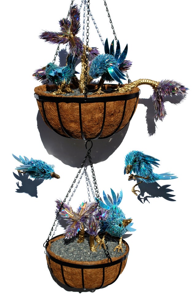 What if birds had shattered CDs instead of feathers?